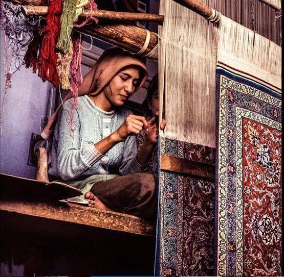 The World's Oldest Carpet